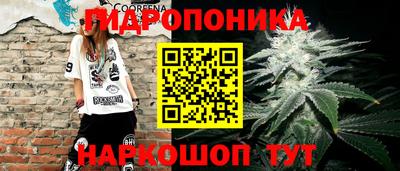 винт Камень-на-Оби